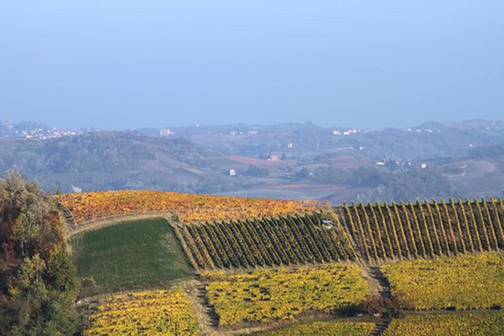 Cascina Marcantonio Acqui Terme Exterior photo